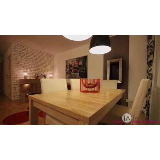 Deco ofen charlie 2 / wand bioethanolkamin satin